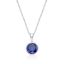 Picture of FEBRUARY  , 5mm BEZEL PENDANT with CHAIN